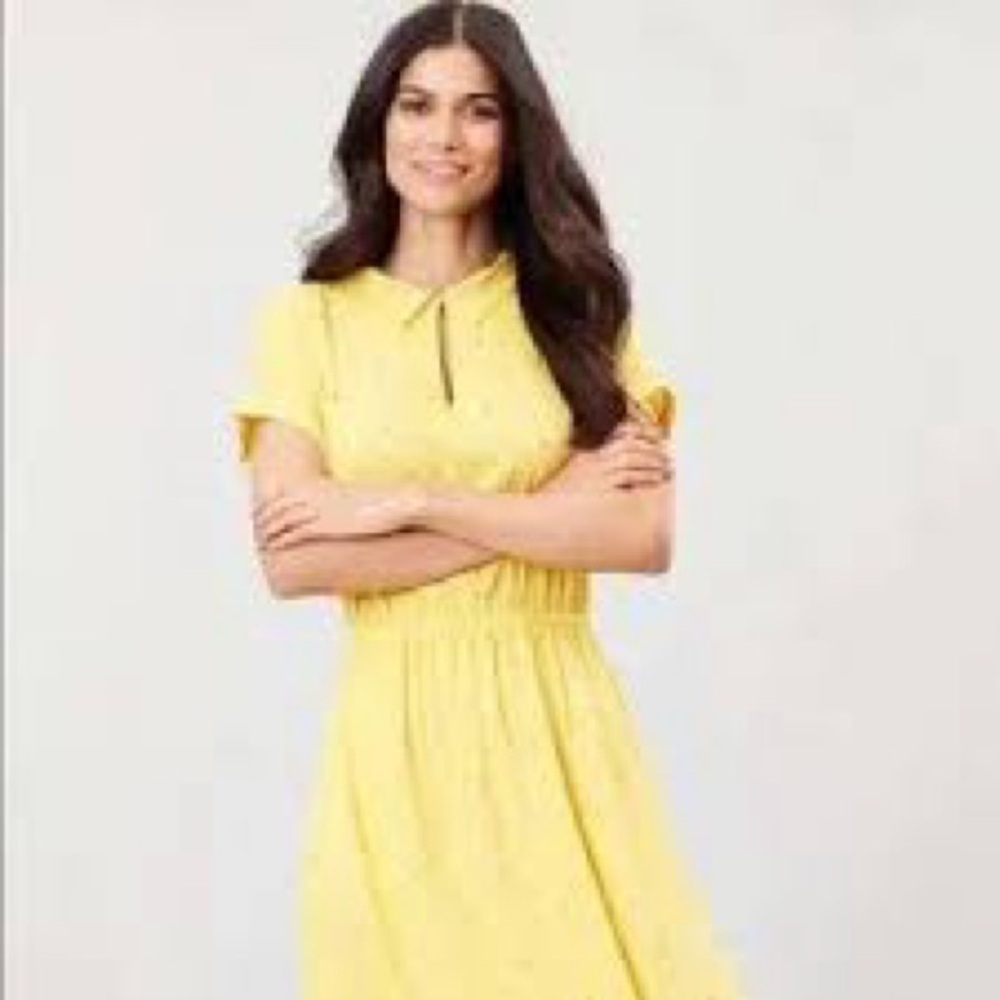 Joules Yellow Lemon Broderie Etty A-Line Dress Women’s Size 8